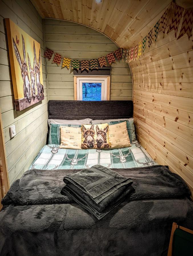 Villa Emlyn'S Coppice - Luxury Woodland Glamping Holywell  Esterno foto