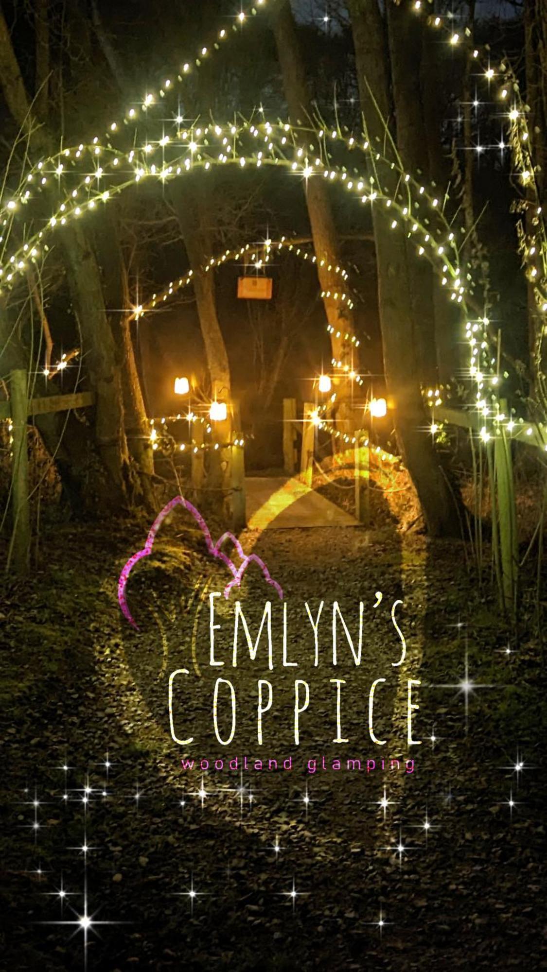 Villa Emlyn'S Coppice - Luxury Woodland Glamping Holywell  Esterno foto